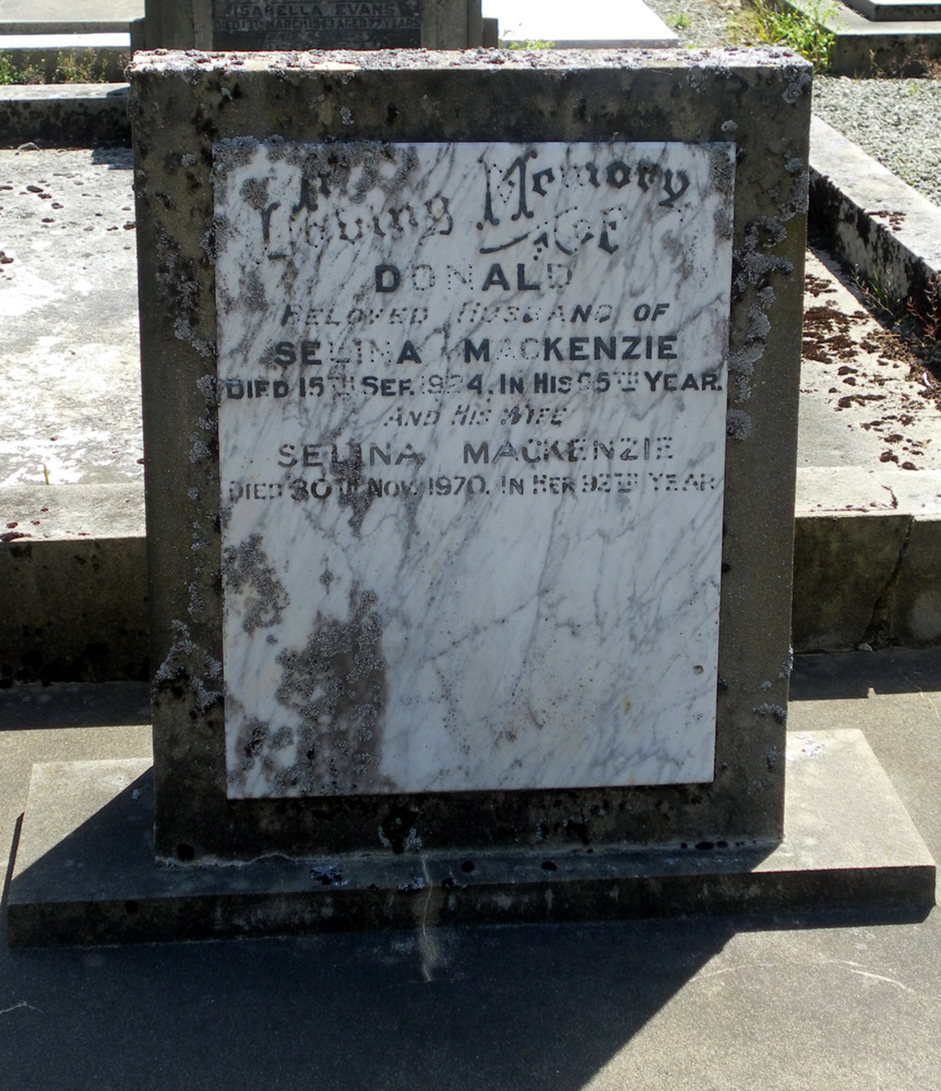 Photo of headstones/Donald MacKenzie died 1924 MI Dipton